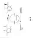 Fig. 02 - Polynucleotides encoding ketoreductase polypeptides for reduction of acetophenones
