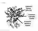 Fig. 03 - Oxygen tolerant hydrogenase by mutating electron supply pathway