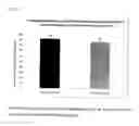 Fig. 09 - MICROSOMES IRREVERSIBLY INHIBITED FOR CYP450 THEIR USES IN THE PHENOTYPING OF ENZYMATIC METABOLIC PATHWAYS