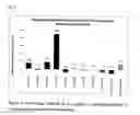 Fig. 10 - MICROSOMES IRREVERSIBLY INHIBITED FOR CYP450 THEIR USES IN THE PHENOTYPING OF ENZYMATIC METABOLIC PATHWAYS