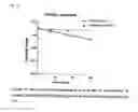 Fig. 21 - MICROSOMES IRREVERSIBLY INHIBITED FOR CYP450 THEIR USES IN THE PHENOTYPING OF ENZYMATIC METABOLIC PATHWAYS