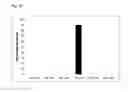 Fig. 22 - MICROSOMES IRREVERSIBLY INHIBITED FOR CYP450 THEIR USES IN THE PHENOTYPING OF ENZYMATIC METABOLIC PATHWAYS