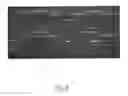 Fig. 08 - Modified DNA polymerases for improved amplification