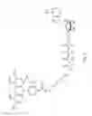 Fig. 03 - Recombinant polymerases with increased phototolerance
