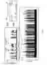 Fig. 05 - Recombinant polymerases with increased phototolerance