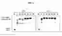Fig. 07 - Modified polymerases for replication of threose nucleic acids
