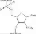 Fig. 03 - Antisense nucleic acids