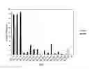 Fig. 02 - Antisense nucleic acids
