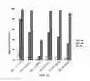 Fig. 20 - Antisense nucleic acids