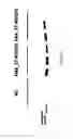 Fig. 22 - Antisense nucleic acids