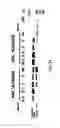 Fig. 25 - Antisense nucleic acids
