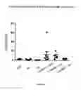 Fig. 06 - Methods for preventing and treating chronic kidney disease (CKD)