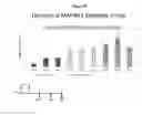 Fig. 09 - RNA interference in dermal and fibrotic indications