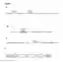 Fig. 05 - Methods for Recombinant Production of Saffron Compounds