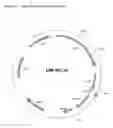Fig. 04 - CELL WITH REDUCED PPGPPASE ACTIVITY