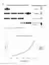 Fig. 08 - Microorganisms engineered for increased productivity