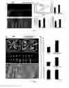 Fig. 08 - Corn genes and and uses thereof