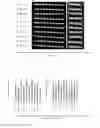 Fig. 09 - Corn genes and and uses thereof