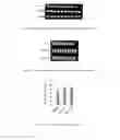 Fig. 15 - Corn genes and and uses thereof