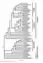 Fig. 02 - Transcription factor sequences for conferring advantageous properties to plants
