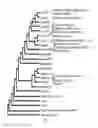Fig. 03 - Transcription factor sequences for conferring advantageous properties to plants