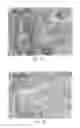 Fig. 08 - Transcription factor sequences for conferring advantageous properties to plants