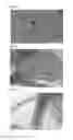 Fig. 03 - Plant COsensors, nucleic acids encoding them, and methods for making and using them