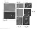 Fig. 05 - Plant COsensors, nucleic acids encoding them, and methods for making and using them
