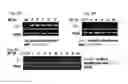 Fig. 10 - Plant COsensors, nucleic acids encoding them, and methods for making and using them
