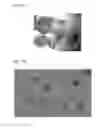 Fig. 19 - Plant COsensors, nucleic acids encoding them, and methods for making and using them