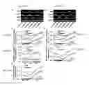 Fig. 31 - Plant COsensors, nucleic acids encoding them, and methods for making and using them