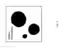 Fig. 04 - Methods and compositions for the targeted modification of a mouse embryonic stem cell genome