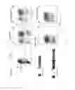 Fig. 03 - METHODS AND COMPOSITIONS RELATING TO RESTRICTED EXPRESSION LENTIVIRAL VECTORS AND THEIR APPLICATIONS