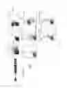 Fig. 07 - METHODS AND COMPOSITIONS RELATING TO RESTRICTED EXPRESSION LENTIVIRAL VECTORS AND THEIR APPLICATIONS