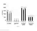 Fig. 10 - METHODS AND COMPOSITIONS RELATING TO RESTRICTED EXPRESSION LENTIVIRAL VECTORS AND THEIR APPLICATIONS