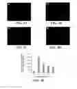 Fig. 07 - CATIONIC POLYMER SYSTEMS FOR SELECTIVE BACTERIAL CAPTURE