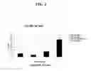 Fig. 03 - Rapid whole genome amplification