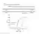 Fig. 16 - ALLELE-SPECIFIC AMPLIFICATION USING A COMPOSITION OF OVERLAPPING NON-ALLELE-SPECIFIC PRIMER AND ALLELE-SPECIFIC BLOCKER OLIGONUCLEOTIDES