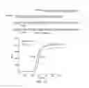 Fig. 17 - ALLELE-SPECIFIC AMPLIFICATION USING A COMPOSITION OF OVERLAPPING NON-ALLELE-SPECIFIC PRIMER AND ALLELE-SPECIFIC BLOCKER OLIGONUCLEOTIDES