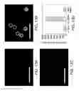 Fig. 15 - METHODS AND DEVICES FOR SELECTION AND ISOLATION OF APTAMERS