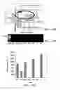 Fig. 16 - METHODS AND DEVICES FOR SELECTION AND ISOLATION OF APTAMERS