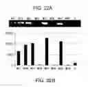 Fig. 24 - METHODS AND DEVICES FOR SELECTION AND ISOLATION OF APTAMERS