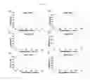 Fig. 03 - Melting curve analysis using PNA probe, method and kit for analyzing nucleotide polymorphism using melting curve analysis