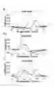Fig. 06 - Melting curve analysis using PNA probe, method and kit for analyzing nucleotide polymorphism using melting curve analysis