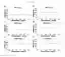 Fig. 07 - Melting curve analysis using PNA probe, method and kit for analyzing nucleotide polymorphism using melting curve analysis