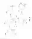 Fig. 11 - Oligonucleotide probe inversion process for in situ synthesized probe arrays