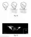 Fig. 03 - Nanoscale imaging of proteins and nucleic acids via expansion microscopy