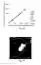 Fig. 05 - Nanoscale imaging of proteins and nucleic acids via expansion microscopy