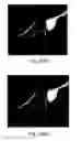 Fig. 16 - Nanoscale imaging of proteins and nucleic acids via expansion microscopy