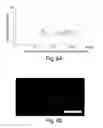 Fig. 24 - Nanoscale imaging of proteins and nucleic acids via expansion microscopy
